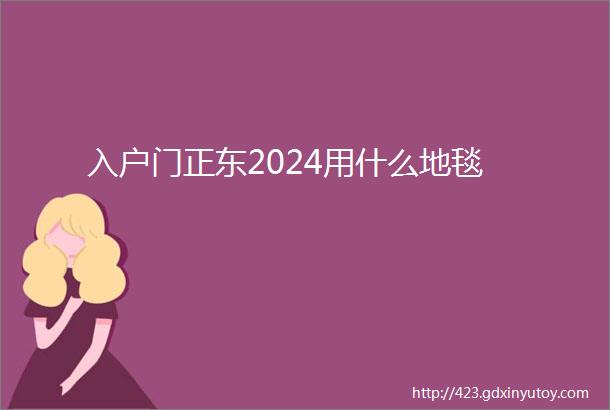 入户门正东2024用什么地毯