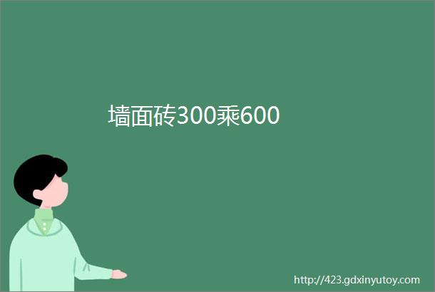 墙面砖300乘600