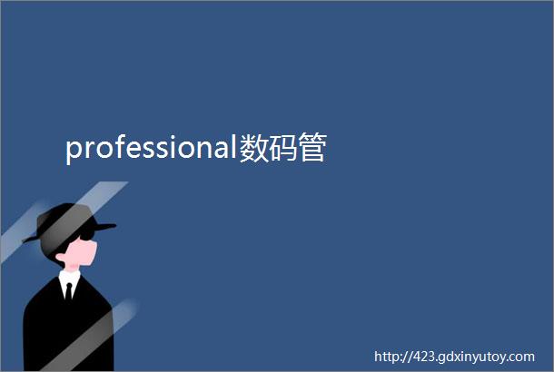 professional数码管